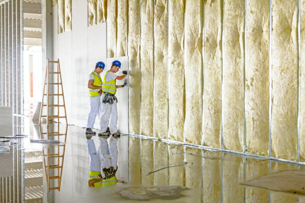 Best Cellulose Insulation in Monticello, MS
